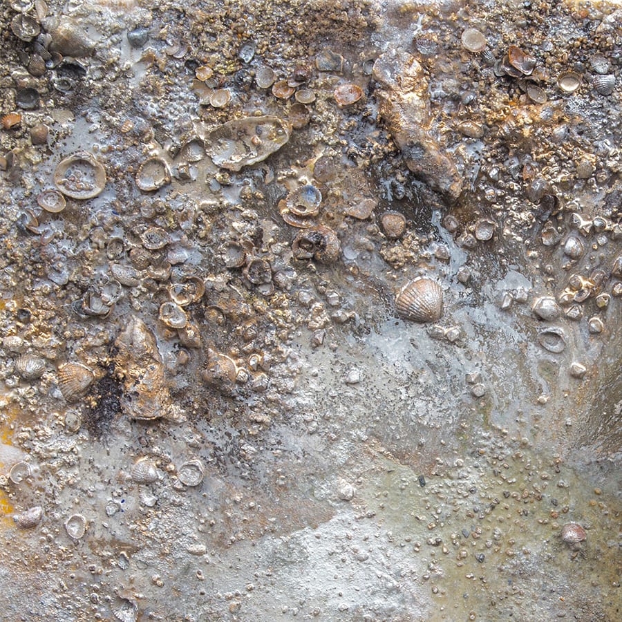 Victoria Kovalenchikova, The Earth-XII