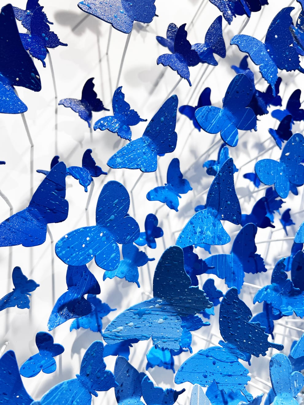 Joel Amit, Here Comes the Sun (Blue)