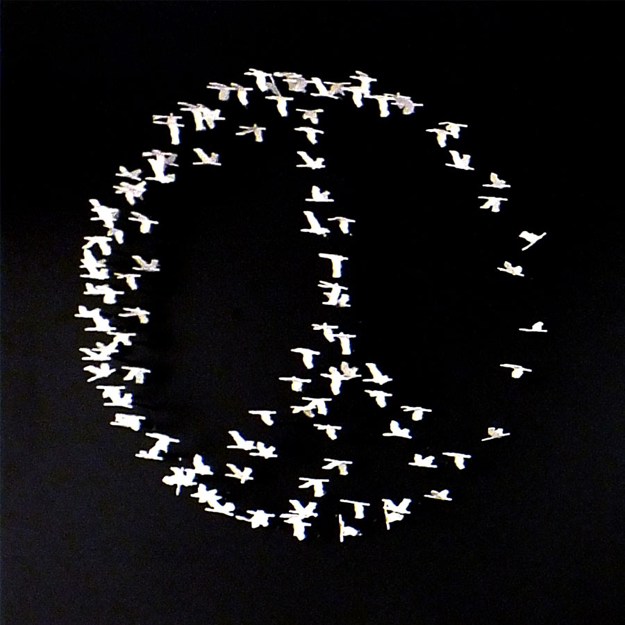 Joel Amit, Peace and Love