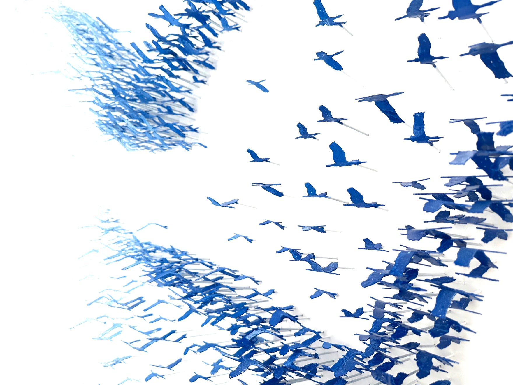 Joel Amit, Love Birds (Blue)