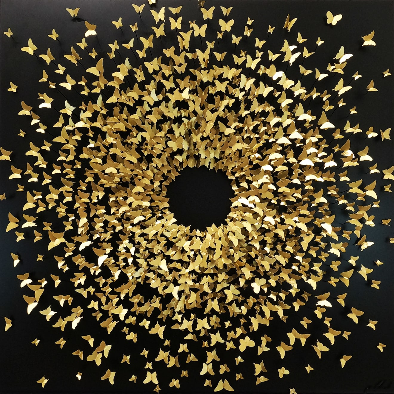 Joel Amit, Here Comes the Sun