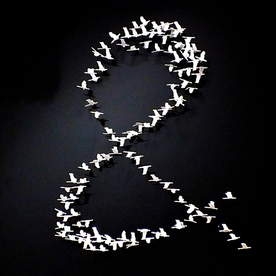 Joel Amit, Peace and Love