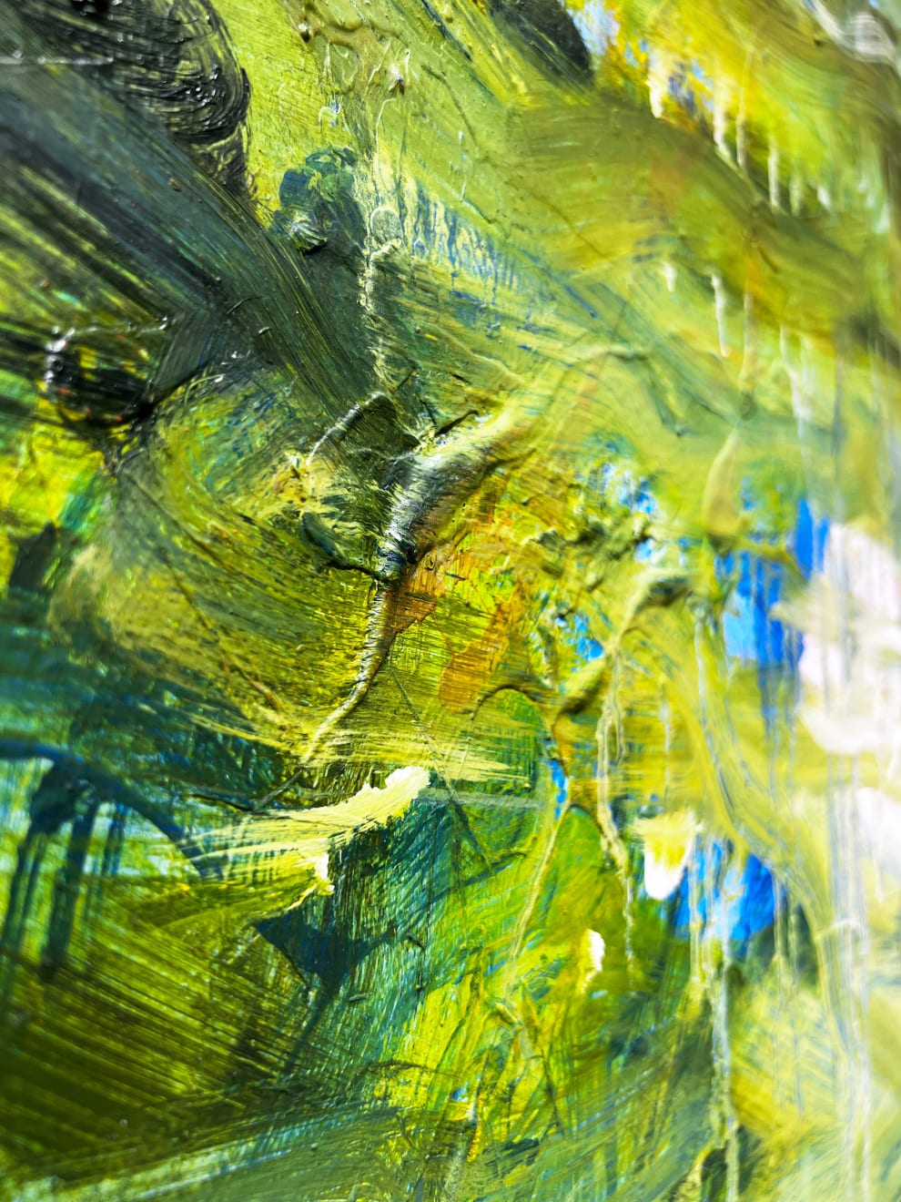 Ian Rayer-Smith, After Monet