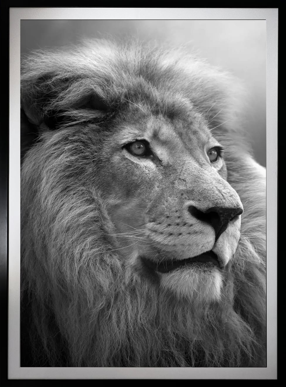 Bjorn Persson, Soul of the Lion