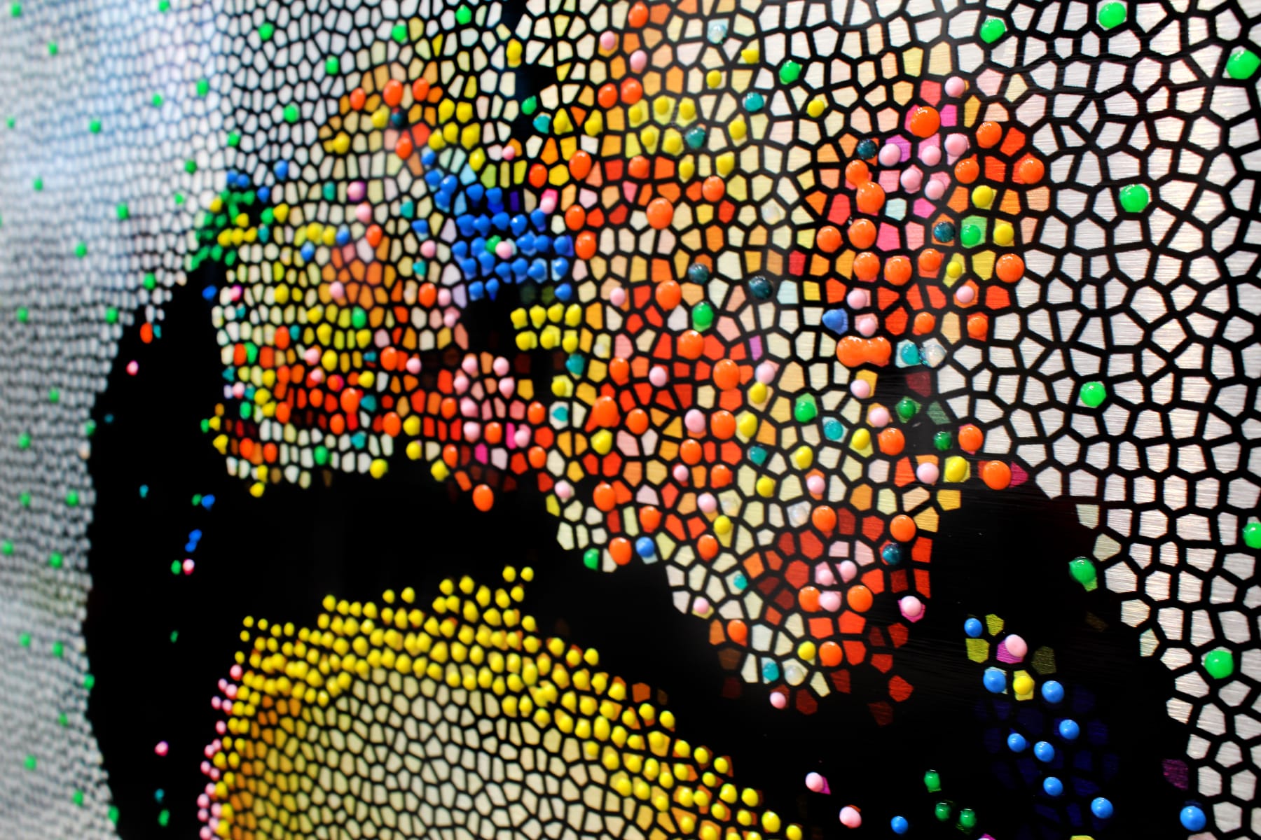 Nirit Aharoni, Frida