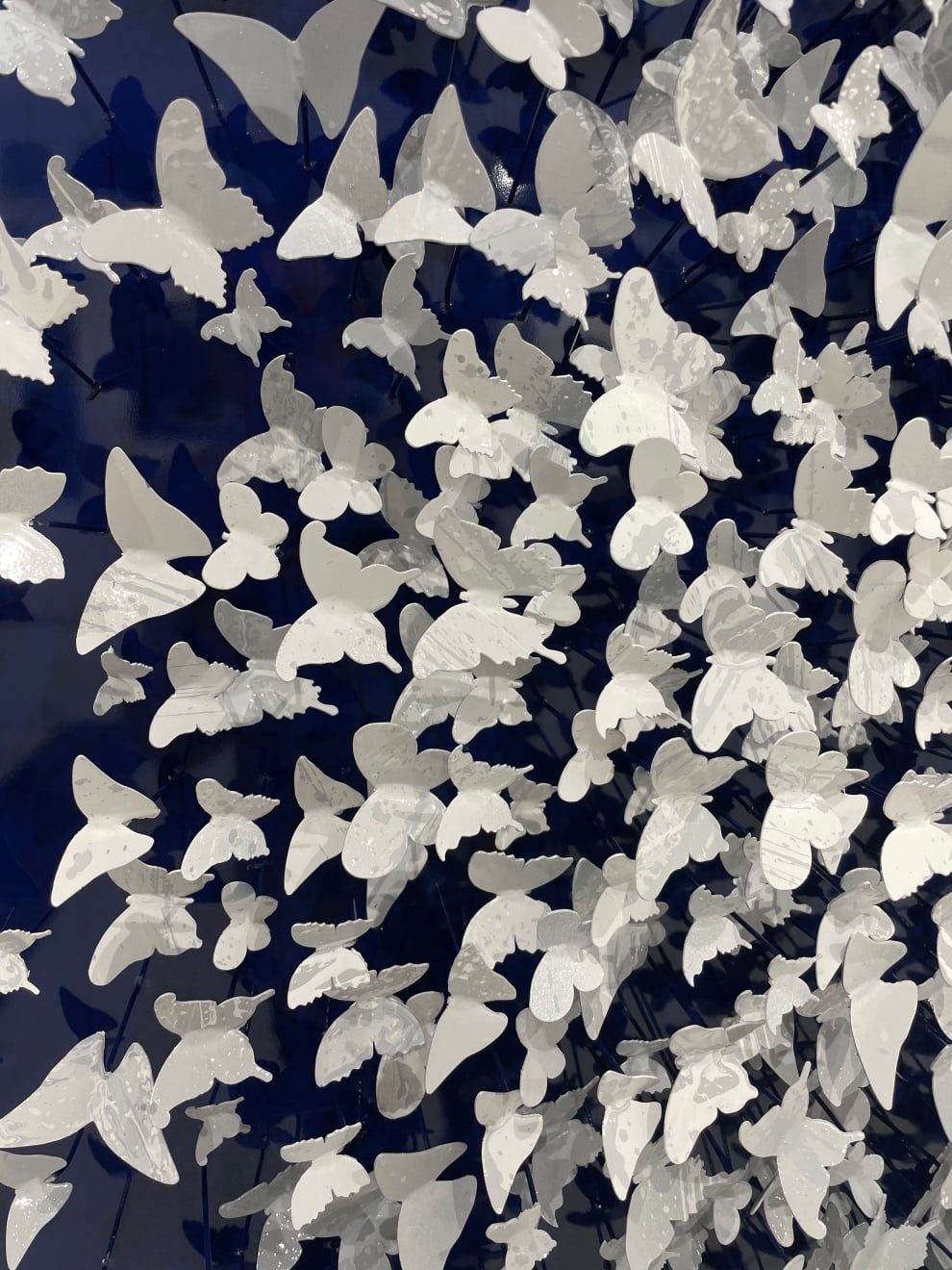 Joel Amit, Here Comes the Sun