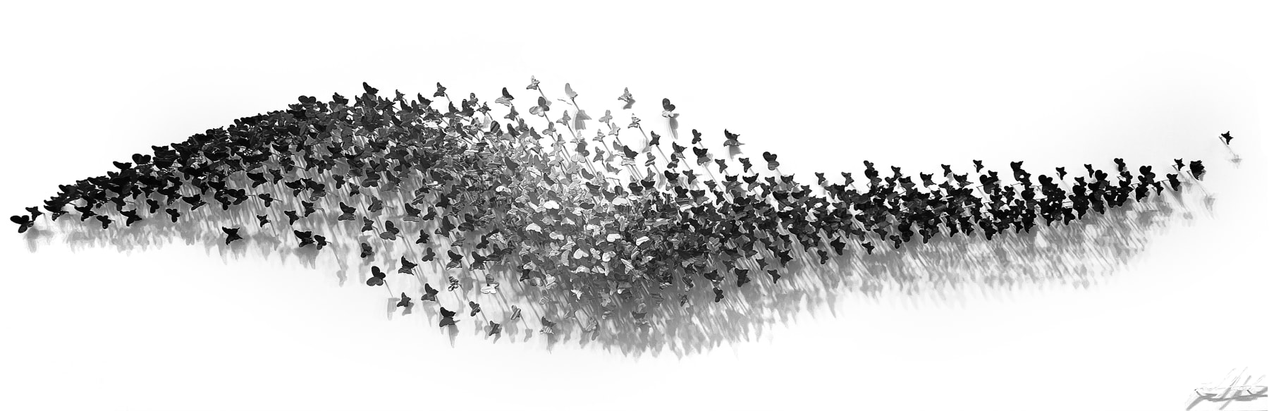 Joel Amit, Ocean Soar (Grey Gradient)