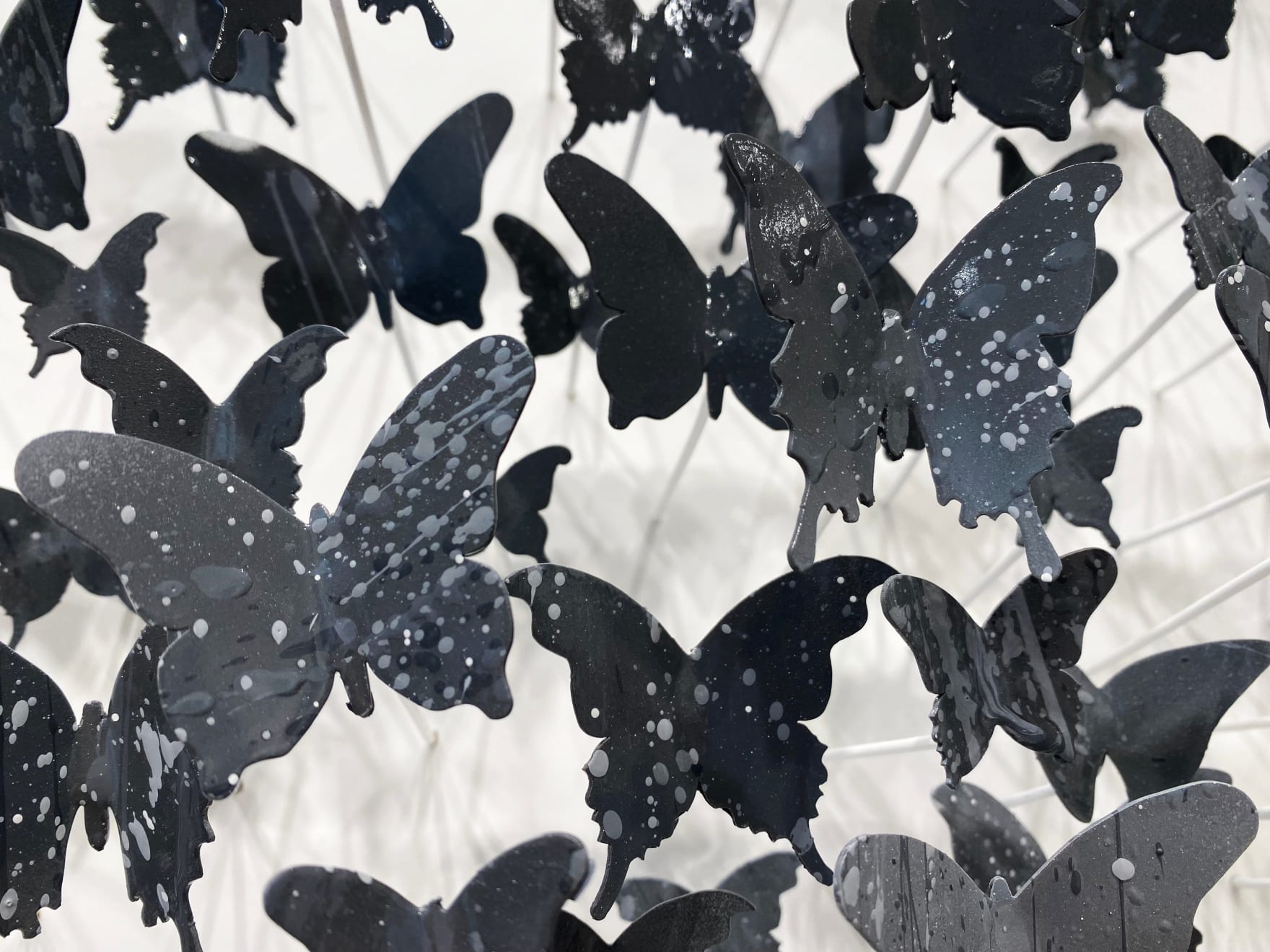 Joel Amit, Here Comes the Sun