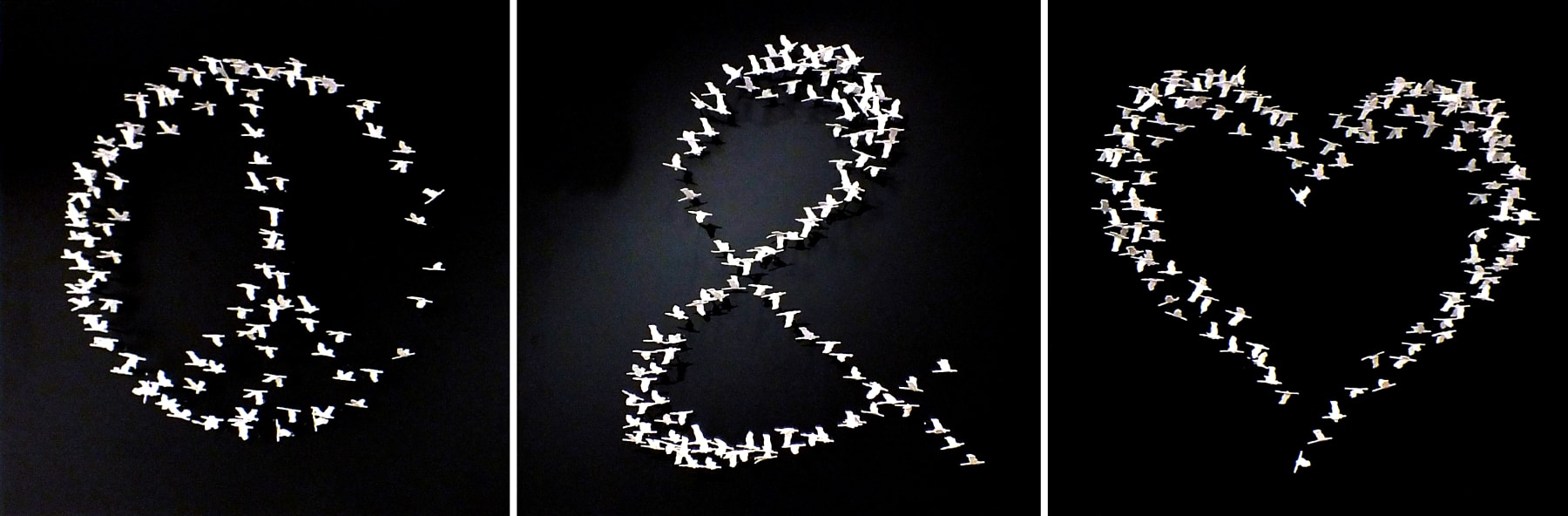 Joel Amit, Peace and Love