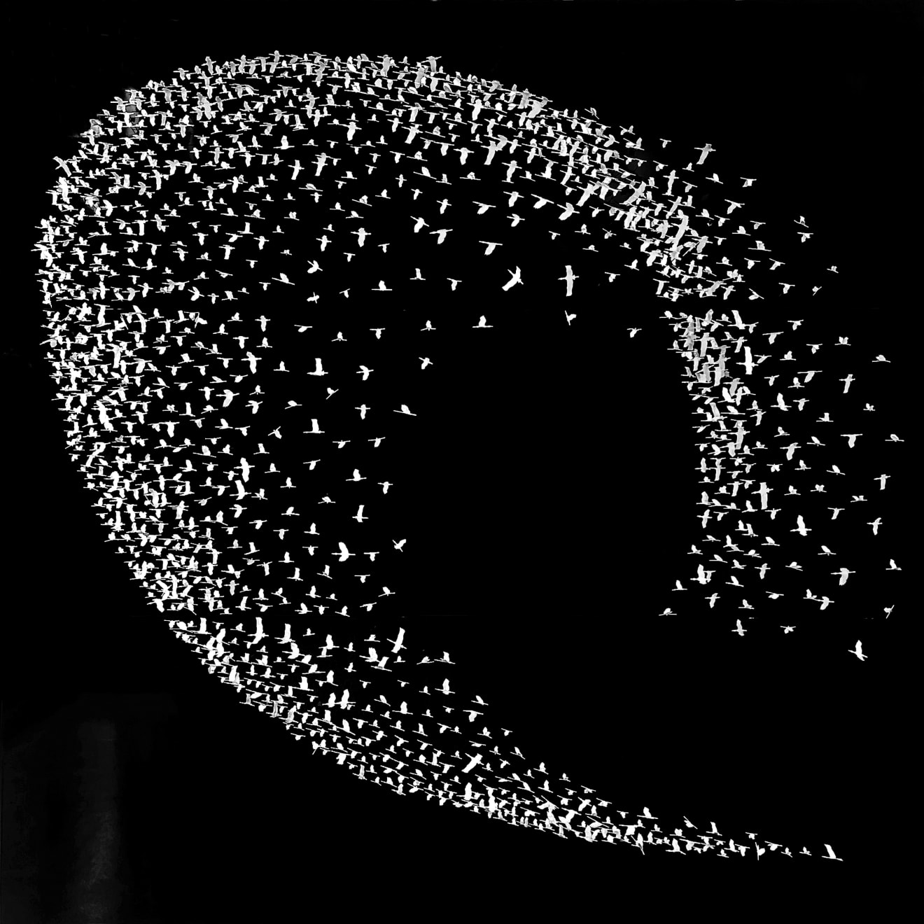 Joel Amit, Wave
