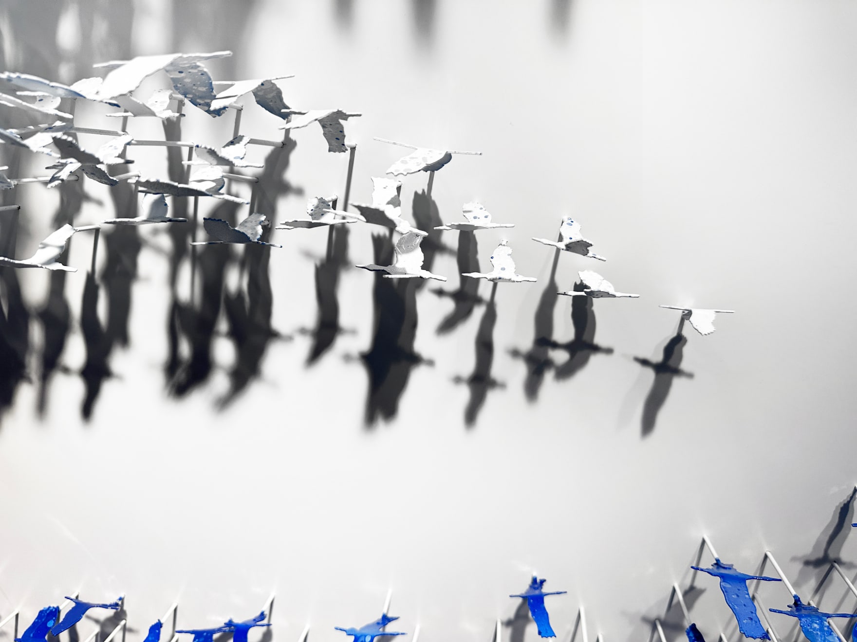 Joel Amit, Infinity, 2023