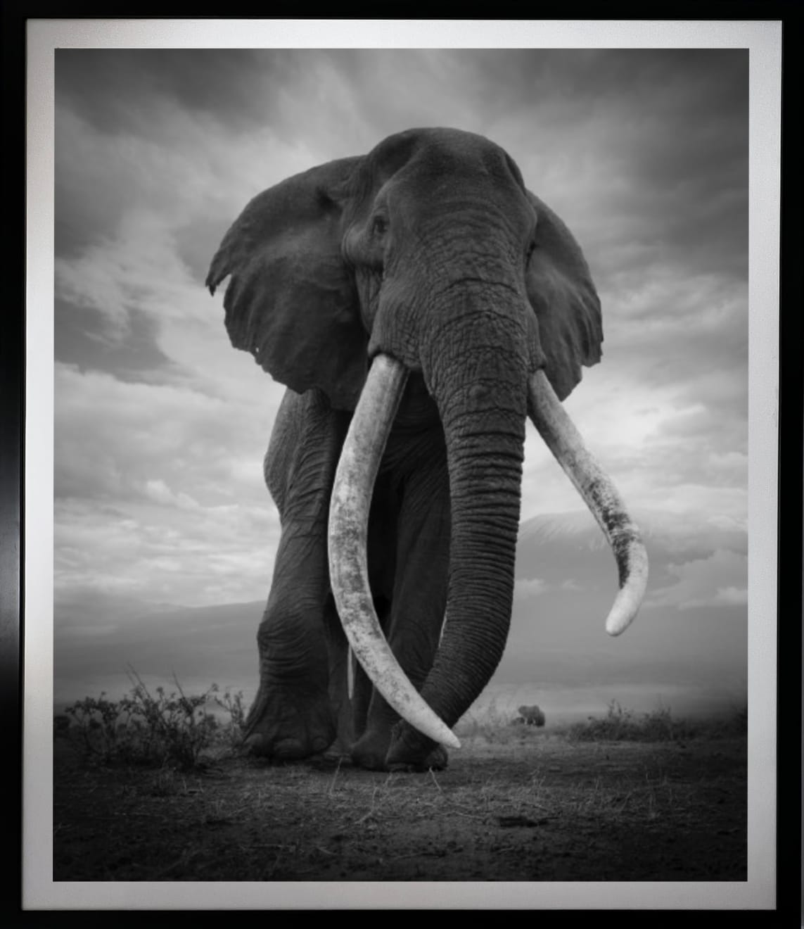 Bjorn Persson, Green Hills of Africa