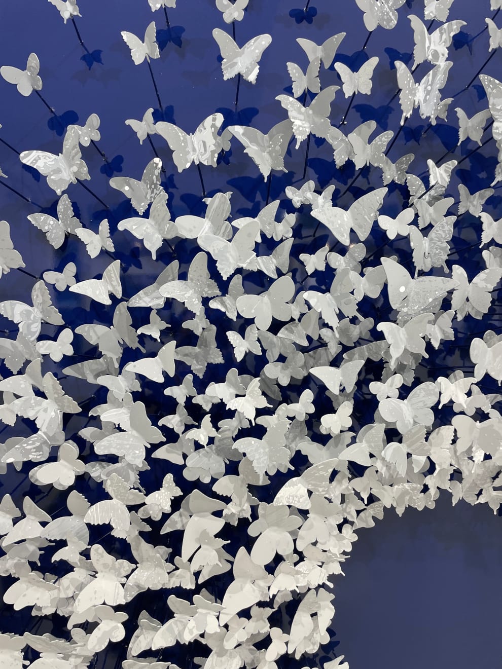 Joel Amit, Here Comes the Sun