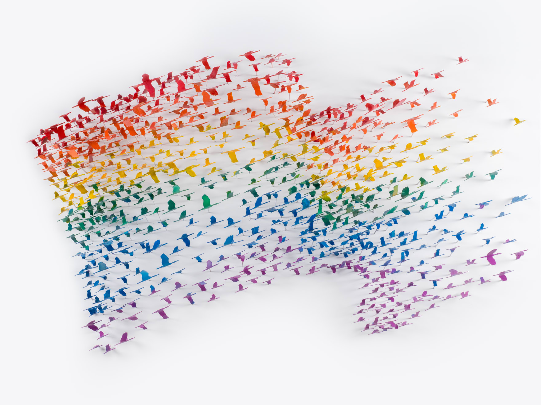Joel Amit, Pride Flag