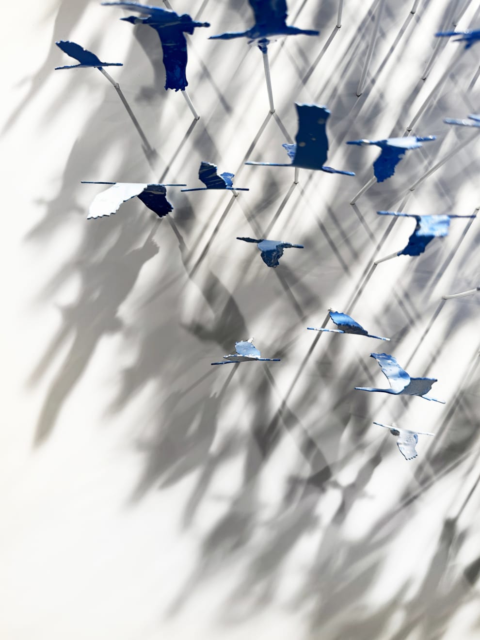 Joel Amit, Infinity, 2023