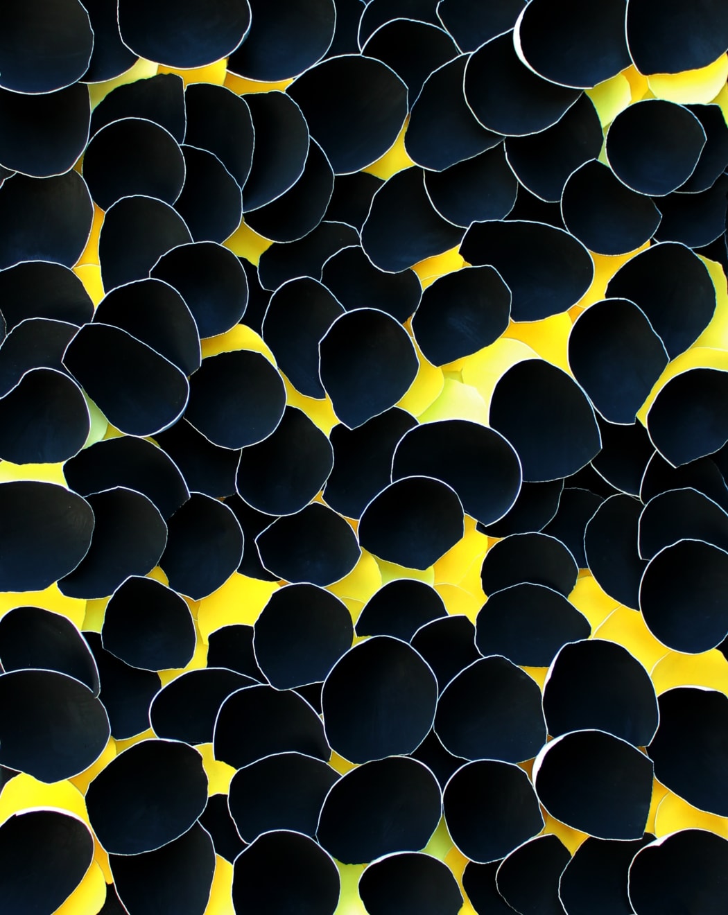 Larisa Safaryan, Yellow, 2022