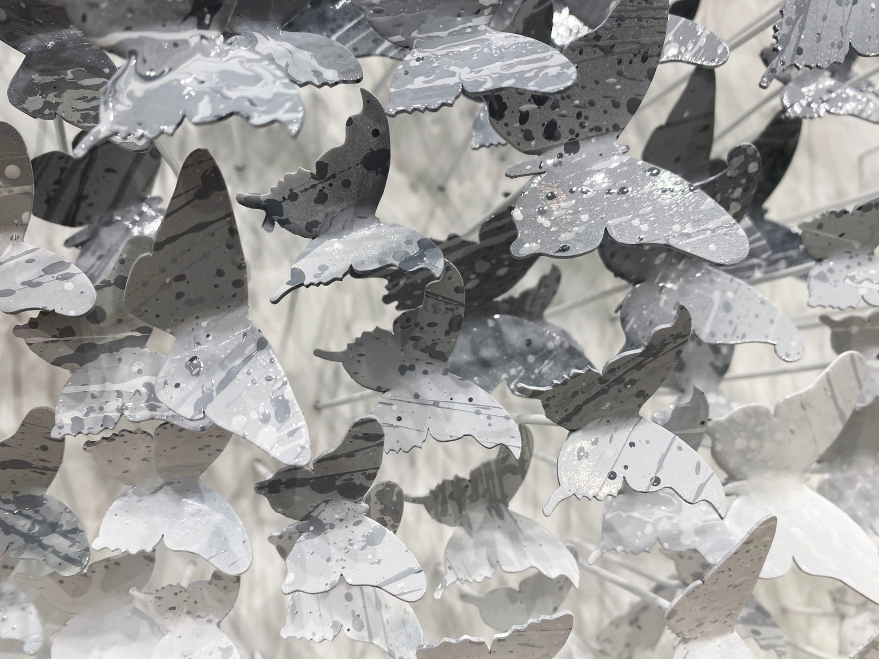 Joel Amit, Here Comes the Sun