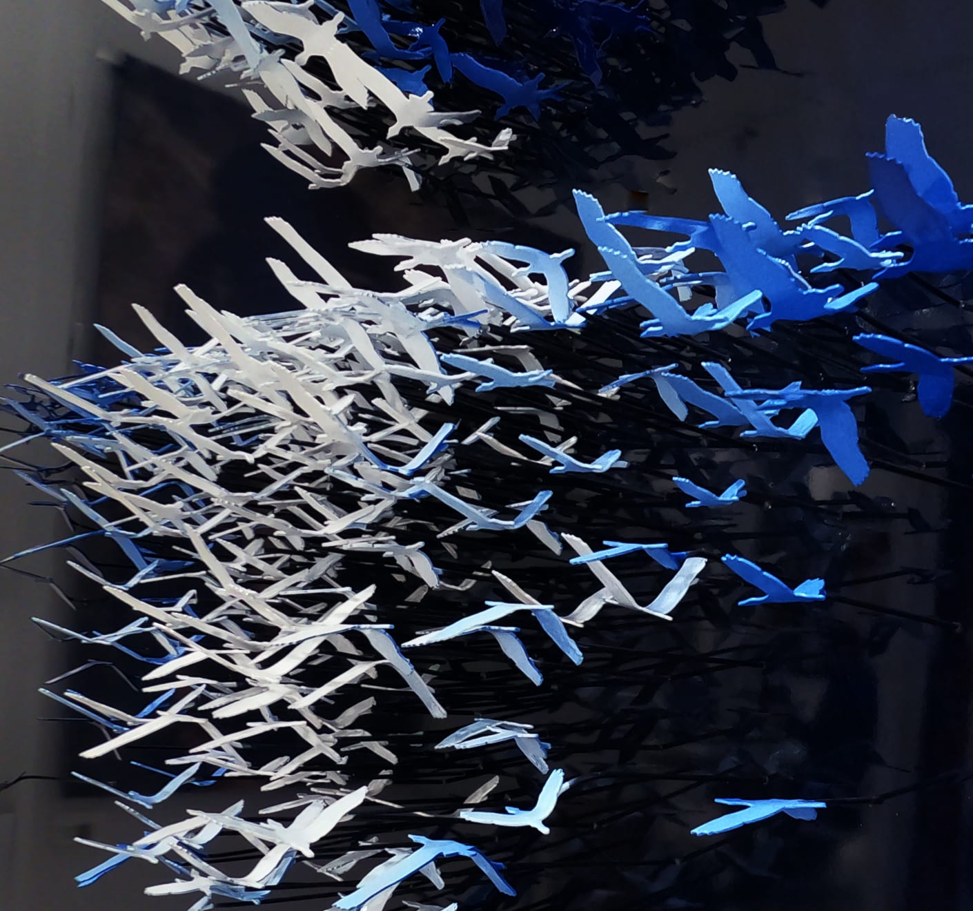 Joel Amit, Moonlight