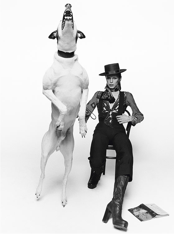 Terry O'Neill, David Bowie for Diamond Dogs, London, 1974