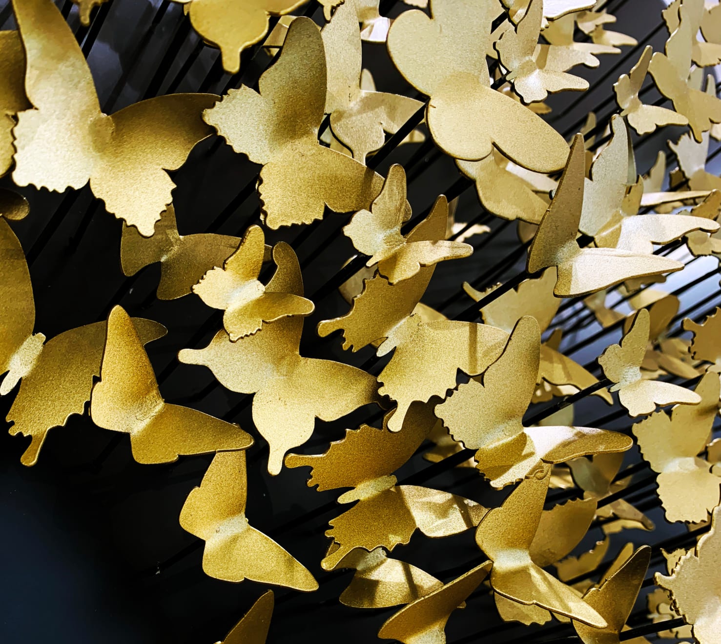 Joel Amit, Here Comes the Sun