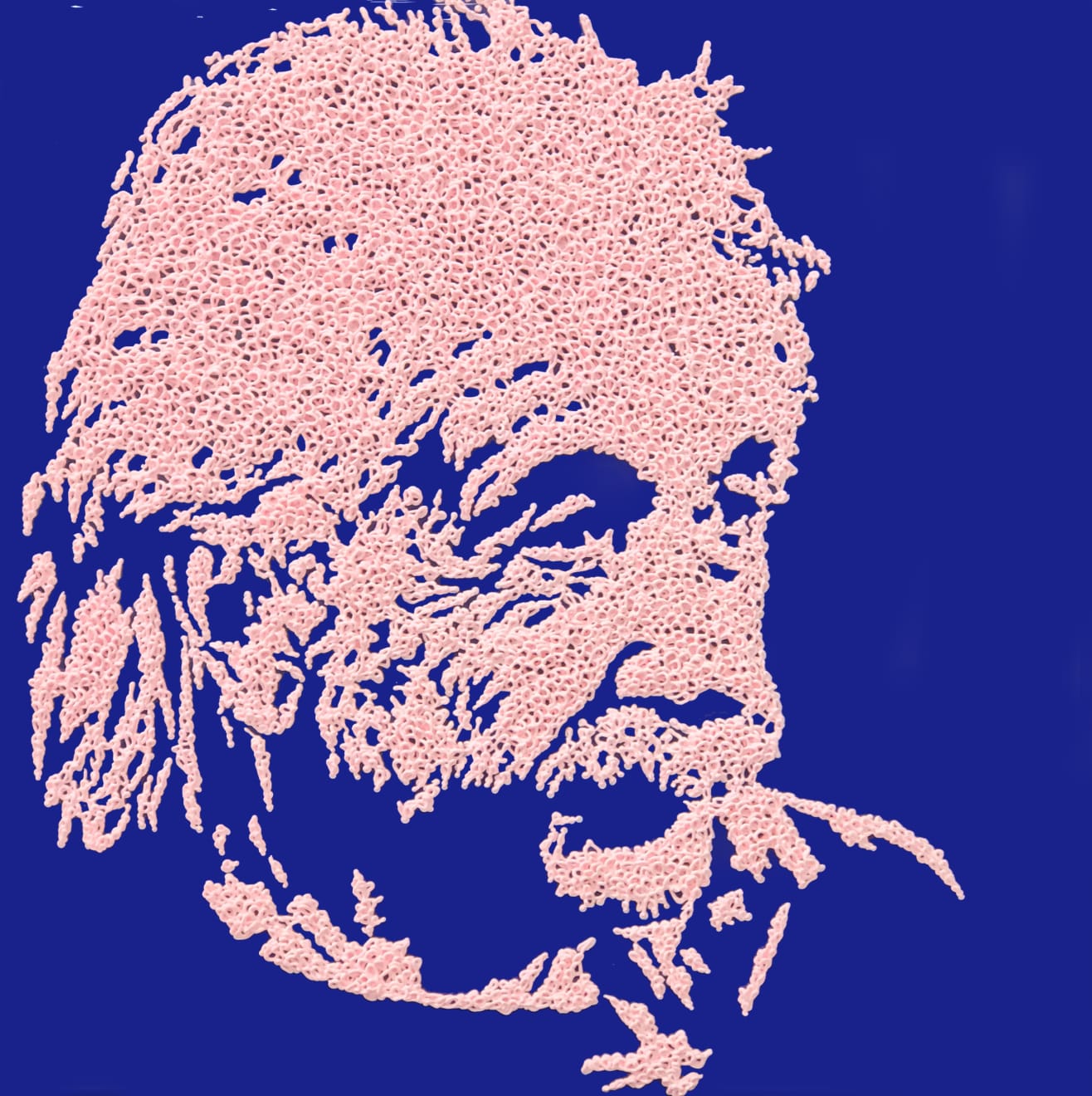 Natan Elkanovich, Einstein