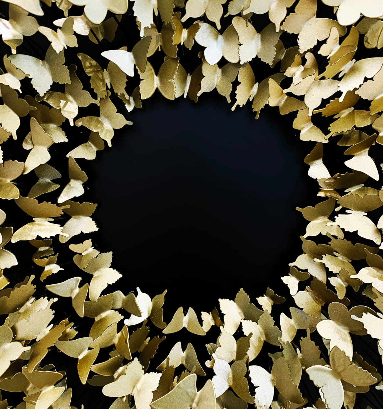 Joel Amit, Here Comes the Sun