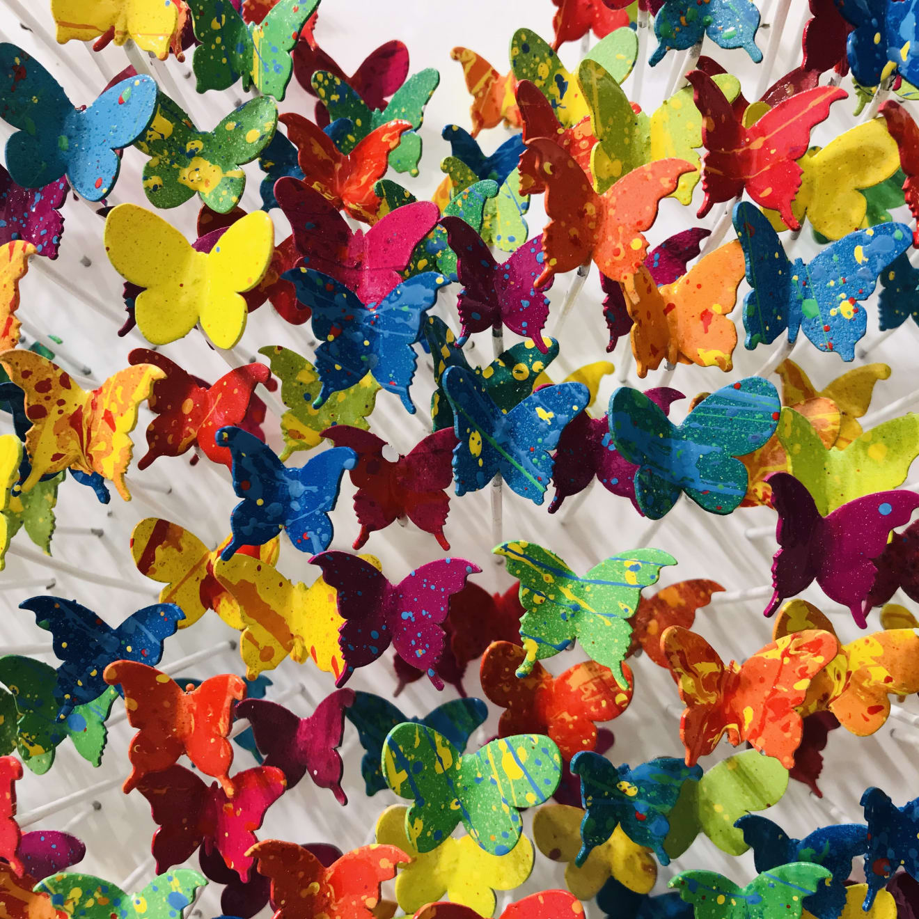 Joel Amit, Flying Love (Candy)