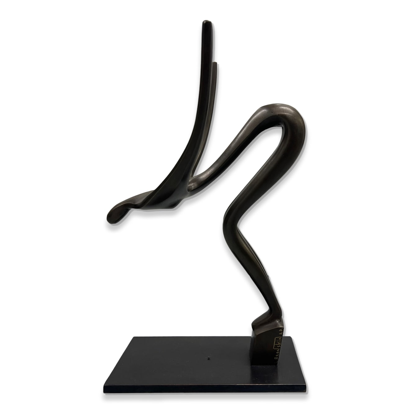 Leon Bronstein, Jumping into the Water