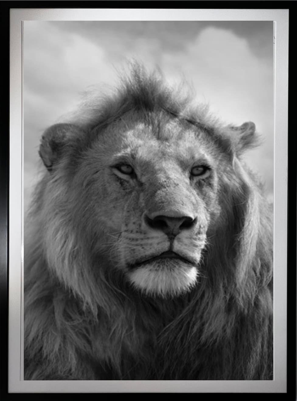 Bjorn Persson, Pride