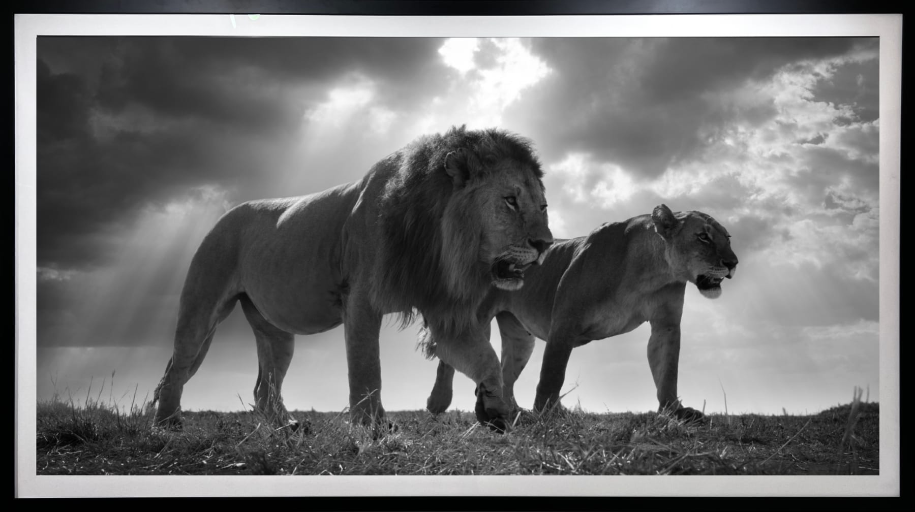 Bjorn Persson, King and the Queen