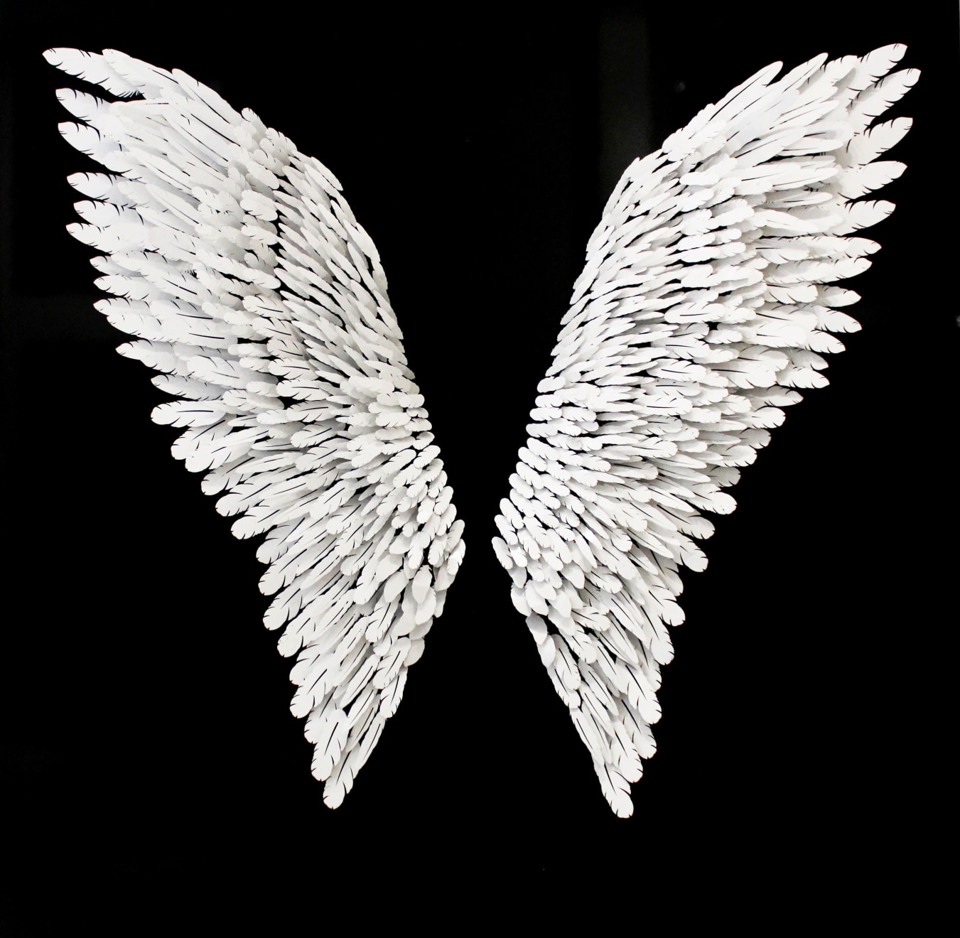 Joel Amit, Angel Wings