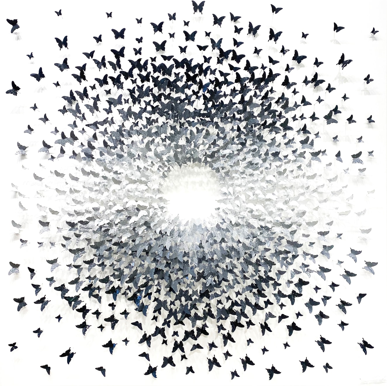 Joel Amit, Here Comes the Sun