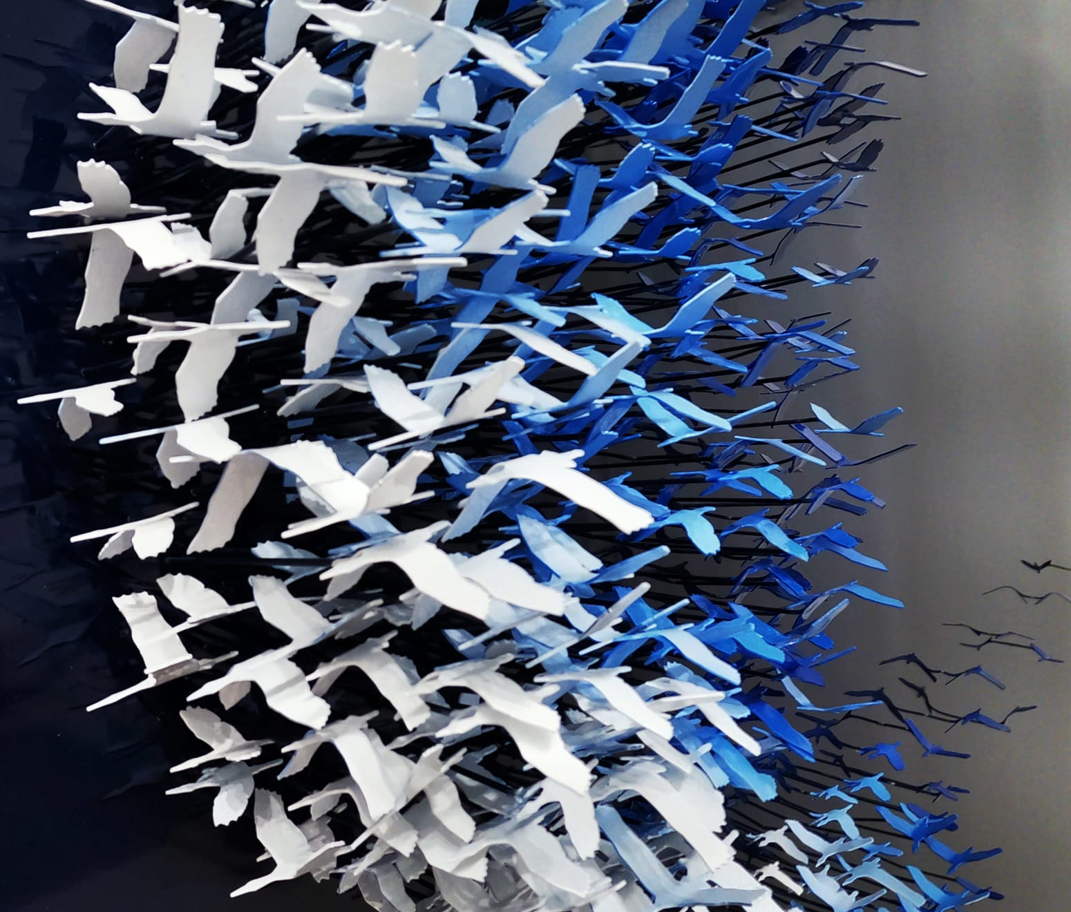 Joel Amit, Moonlight