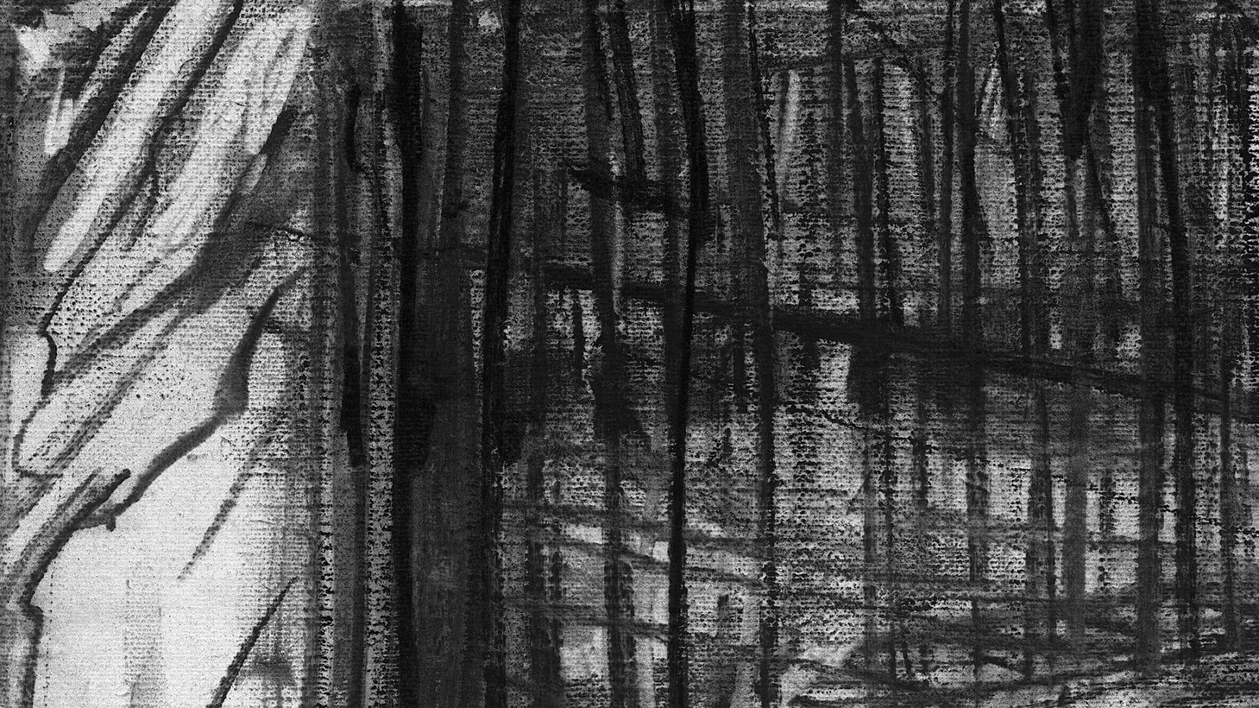 Gerard-Byrne-Georgian-Dublin-in-Spring-charcoalogy-exhibition-art-gallery-dublin-ireland-drawing-detail