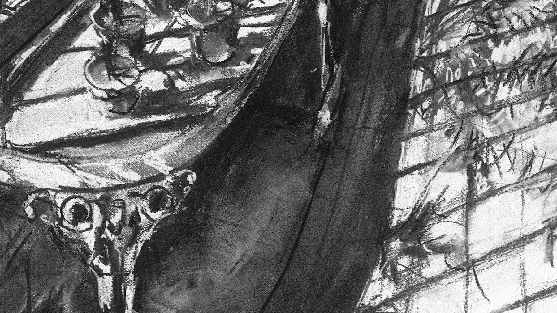 Gerard-Byrne-Some-Like-it-Hot-National-Botanic-Gardens-of-Ireland-charcoalogy-exhibition-art-gallery-dublin-ireland-drawing-detail