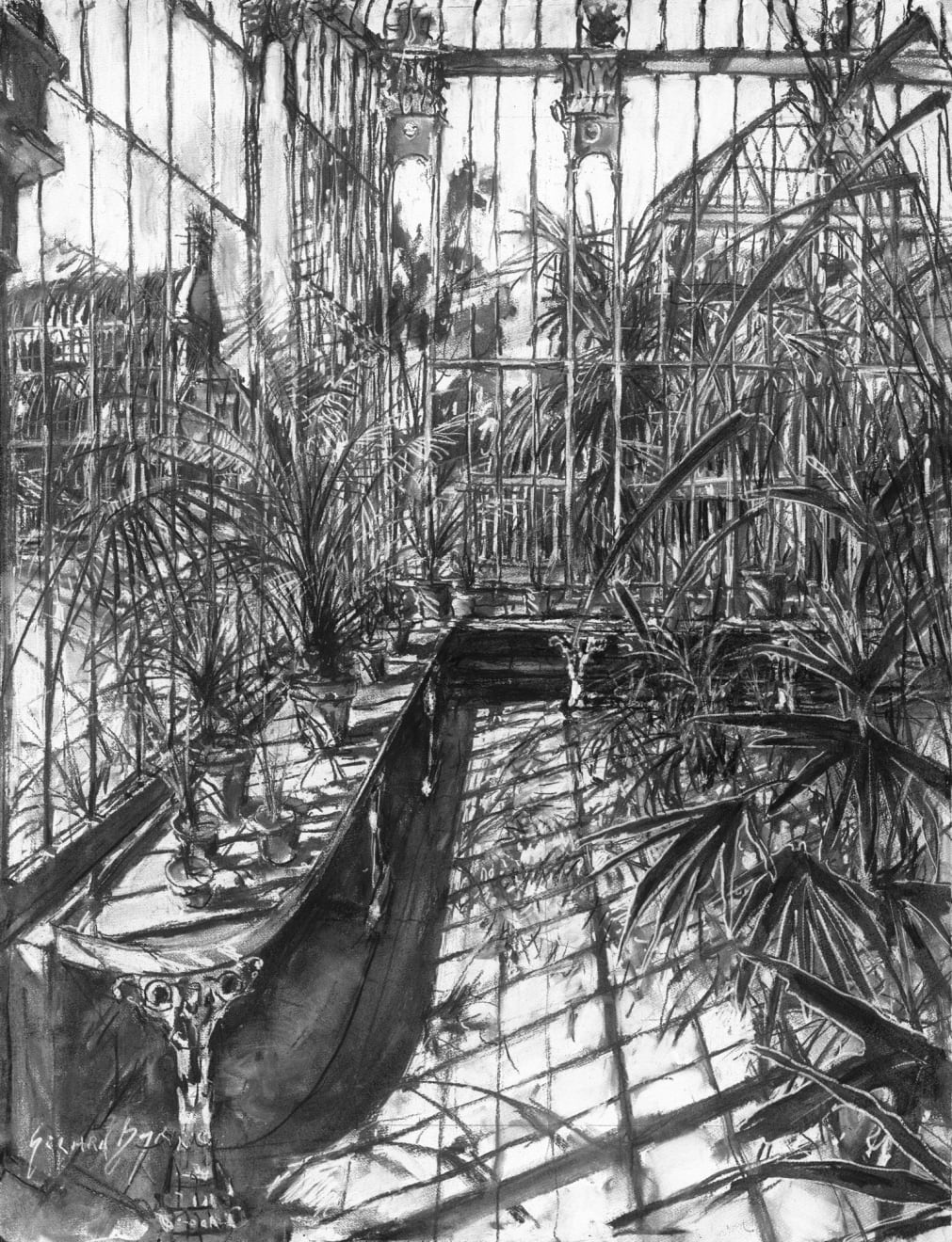 Gerard-Byrne-Some-Like-it-Hot-National-Botanic-Gardens-of-Ireland-charcoalogy-exhibition-art-gallery-dublin-ireland