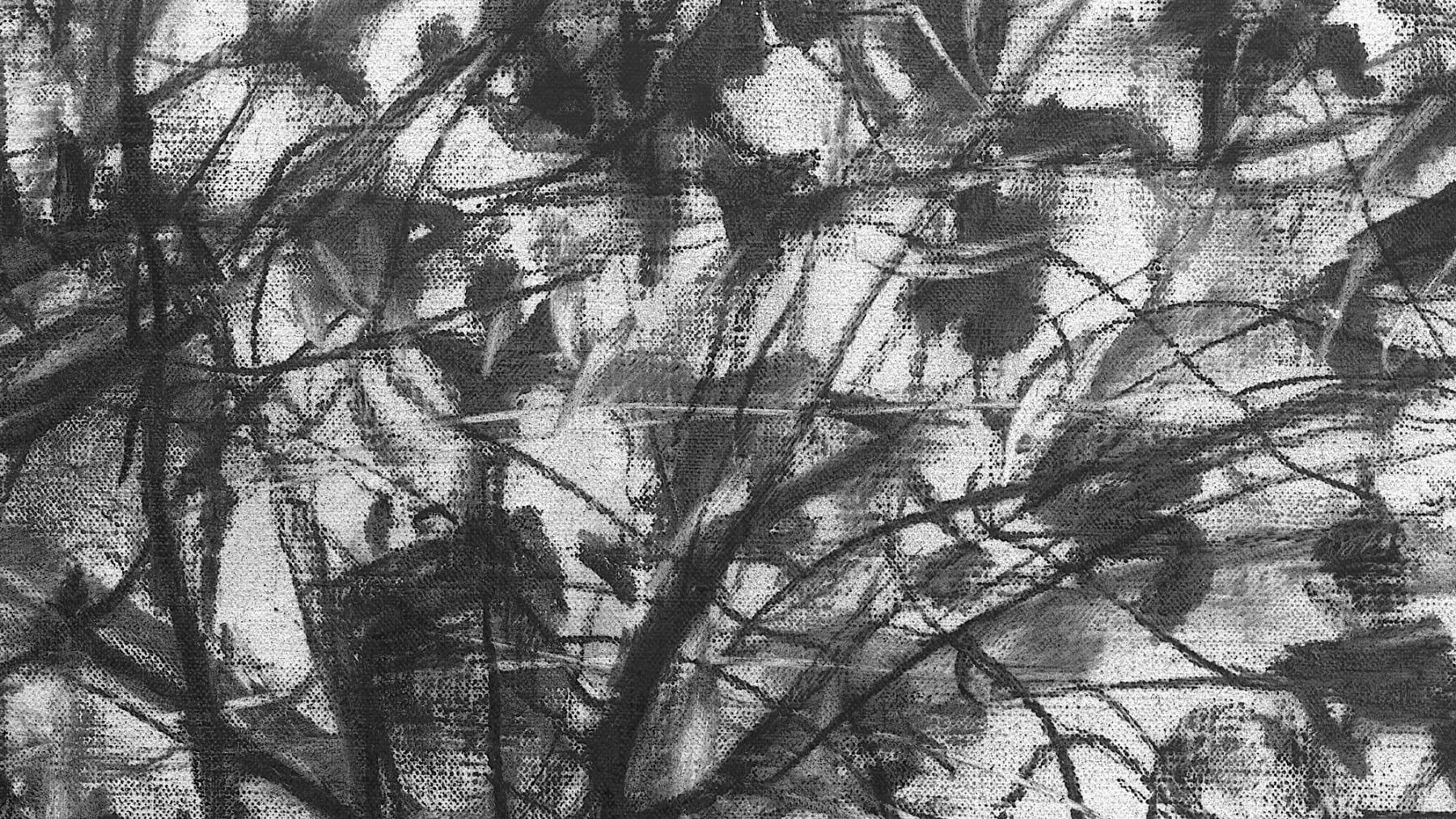 Gerard_Byrne_Magnolia_Blossom_on_Dartmouth_Square_contemporary_impressionism_charcoal_detail