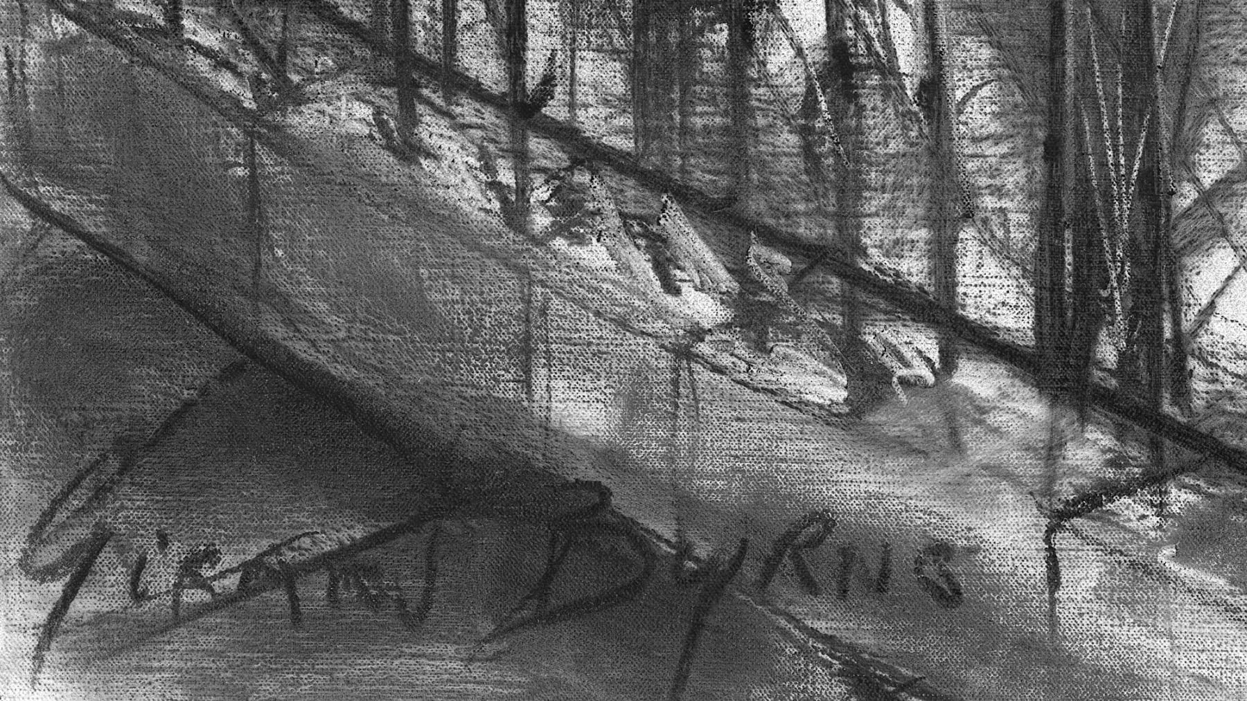 Gerard_Byrne_Magnolia_Blossom_on_Dartmouth_Square_contemporary_impressionism_charcoal_detail
