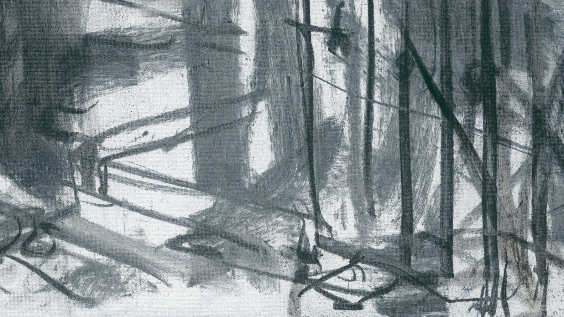 Gerard-Byrne-Victorian-Splendour-Dartmouth-Road-charcoalogy-exhibition-art-gallery-dublin-ireland-detail