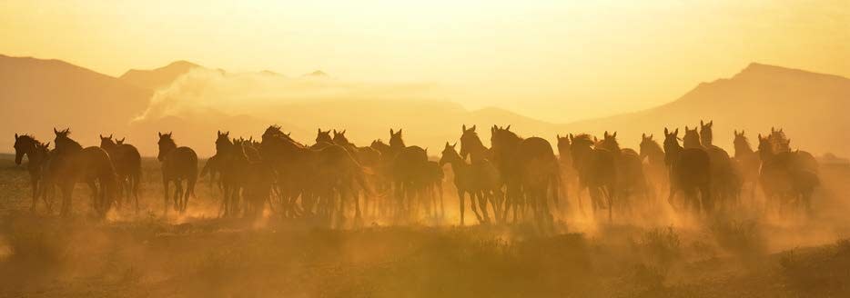 ARTUR BABOEV, Mirage, 2014