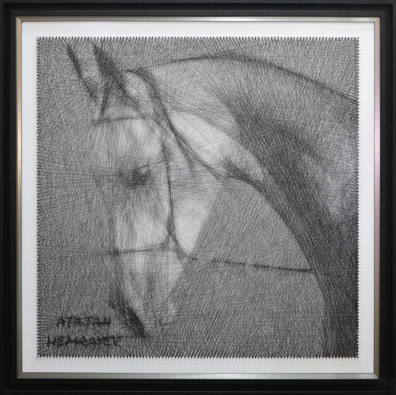 ATAJAN HEMRAYEV, Stallion, 111x111cm, 2025