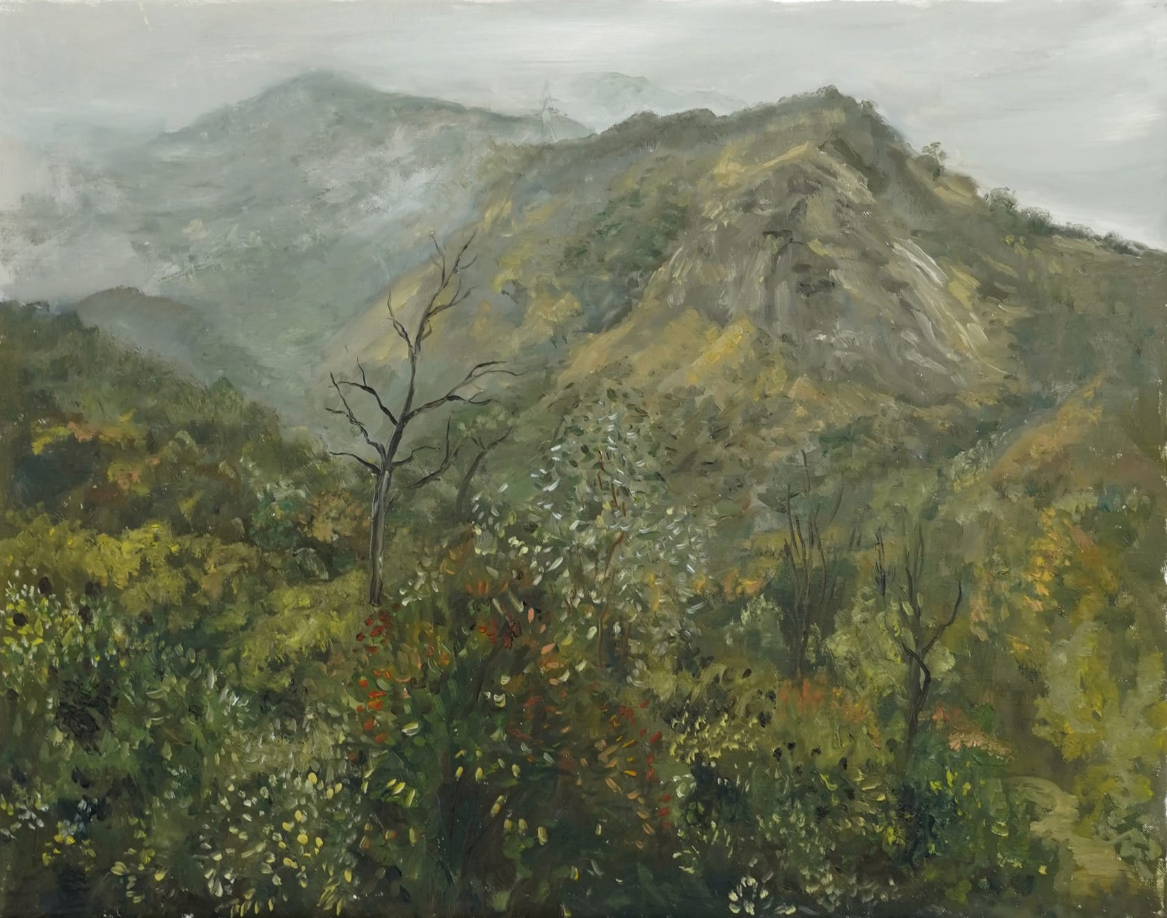 Andrew Durgin-Barnes, Griffith Park in Fog, 2025