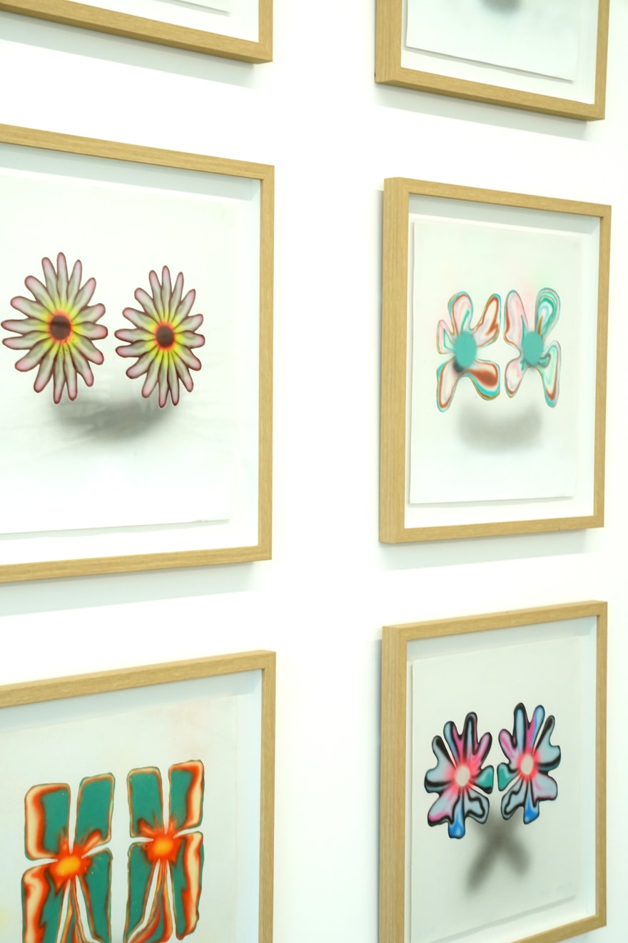 painting in a frame of 2 flowers as eyes for a facea