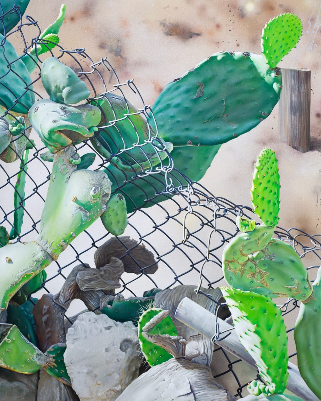 painting of a cactus growing through a fence