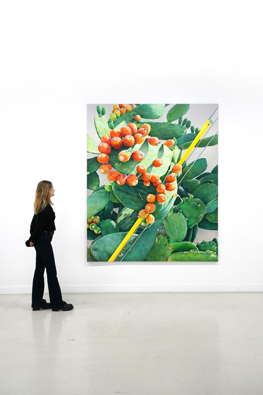painting of a cactus