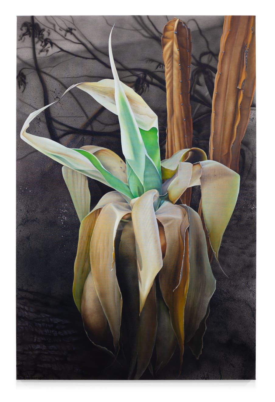 painting of a burnt ageve plant