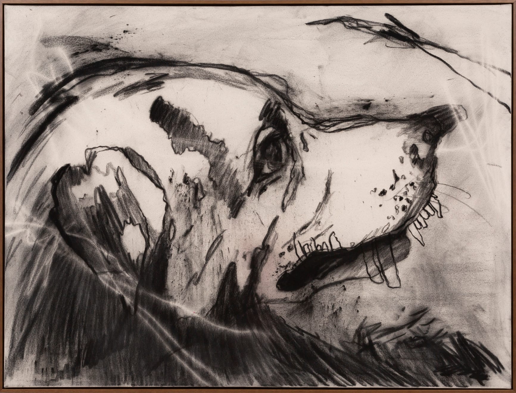 Taylor Marie Prendergast, The Gaze, 2022