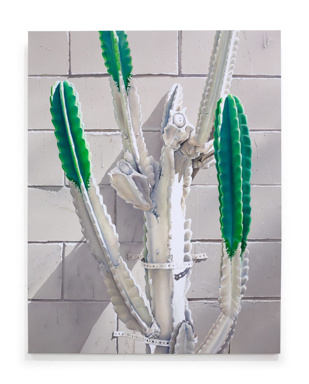 painting of cactus that has been painted white