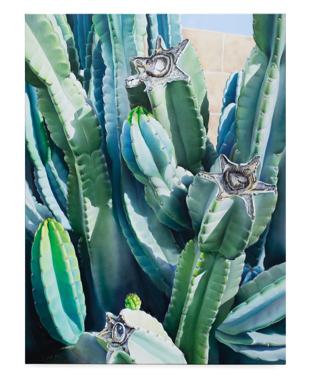 photo-reallistic painting of a cactus in the sunlight