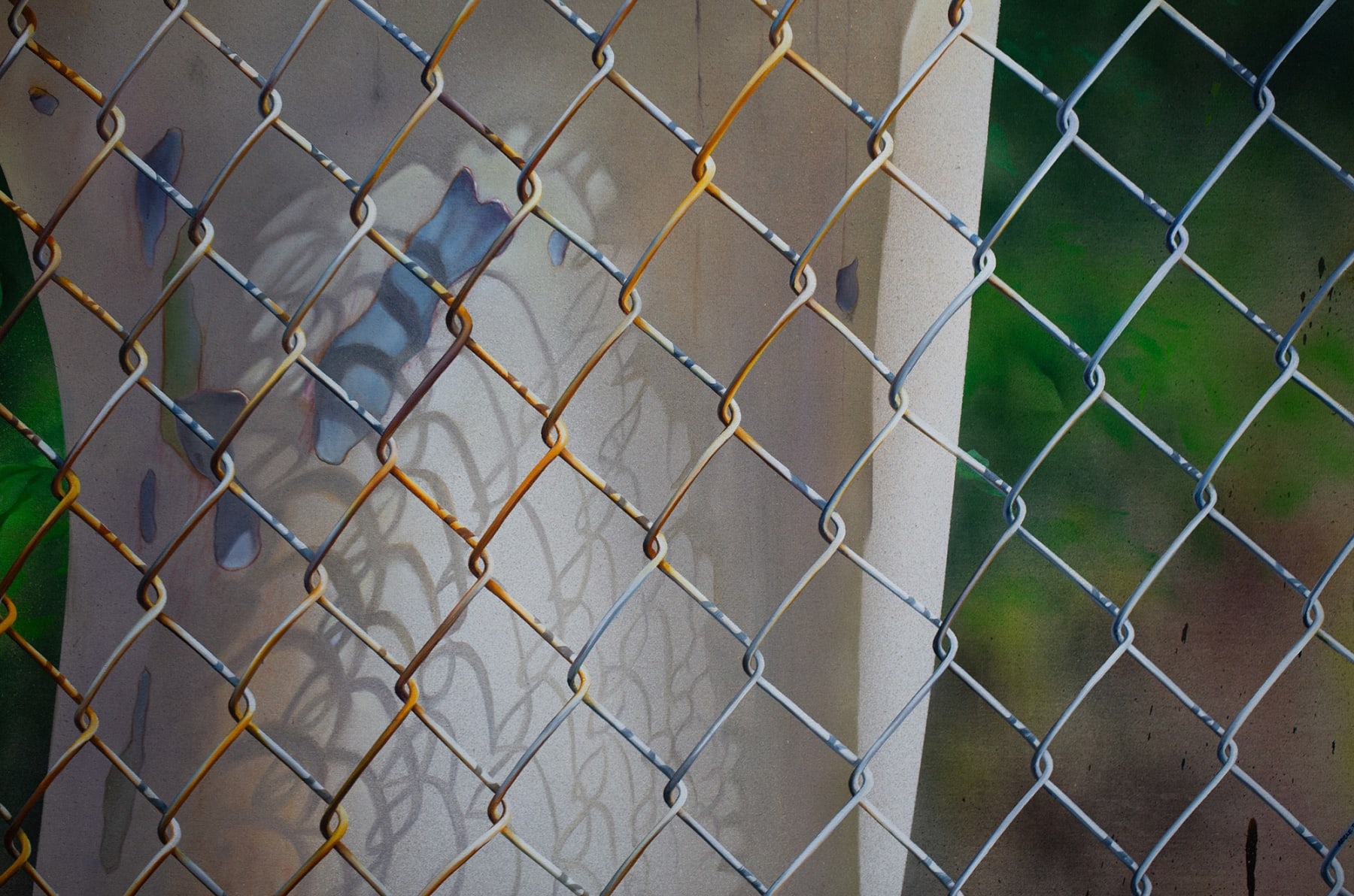 painting of a eucalyptus tree growing around a fence
